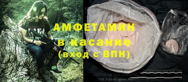 ГАЛЛЮЦИНОГЕННЫЕ ГРИБЫ Покров